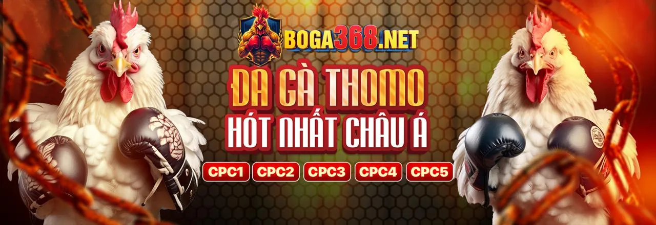 Sòng bạc trực tuyến K9 Nhà Cái 2026