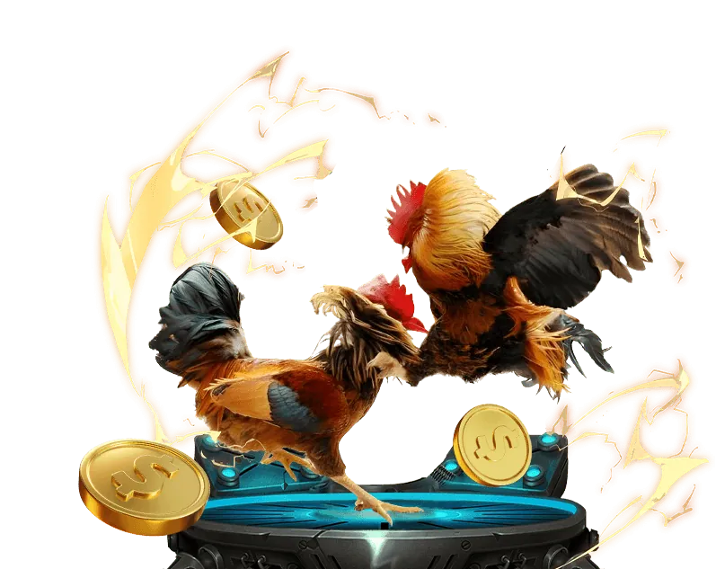 Hỗ trợ qua Email K9 Nhà Cái